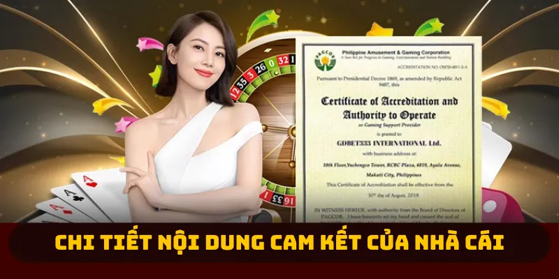Chi tiết nội dung cam kết của nhà cái