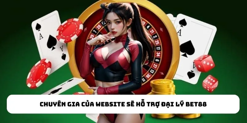 Chuyên gia của website sẽ hỗ trợ đại lý Bet88