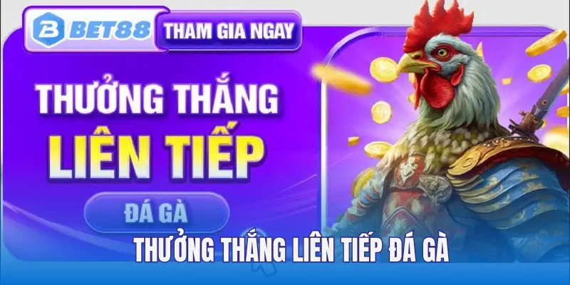 Người chơi đá gà thắng liên tiếp được tặng đến 1888k