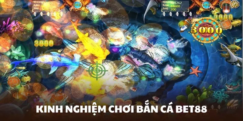 Tích lũy càng nhiều kiến thức, cơ hội chiến thắng càng cao